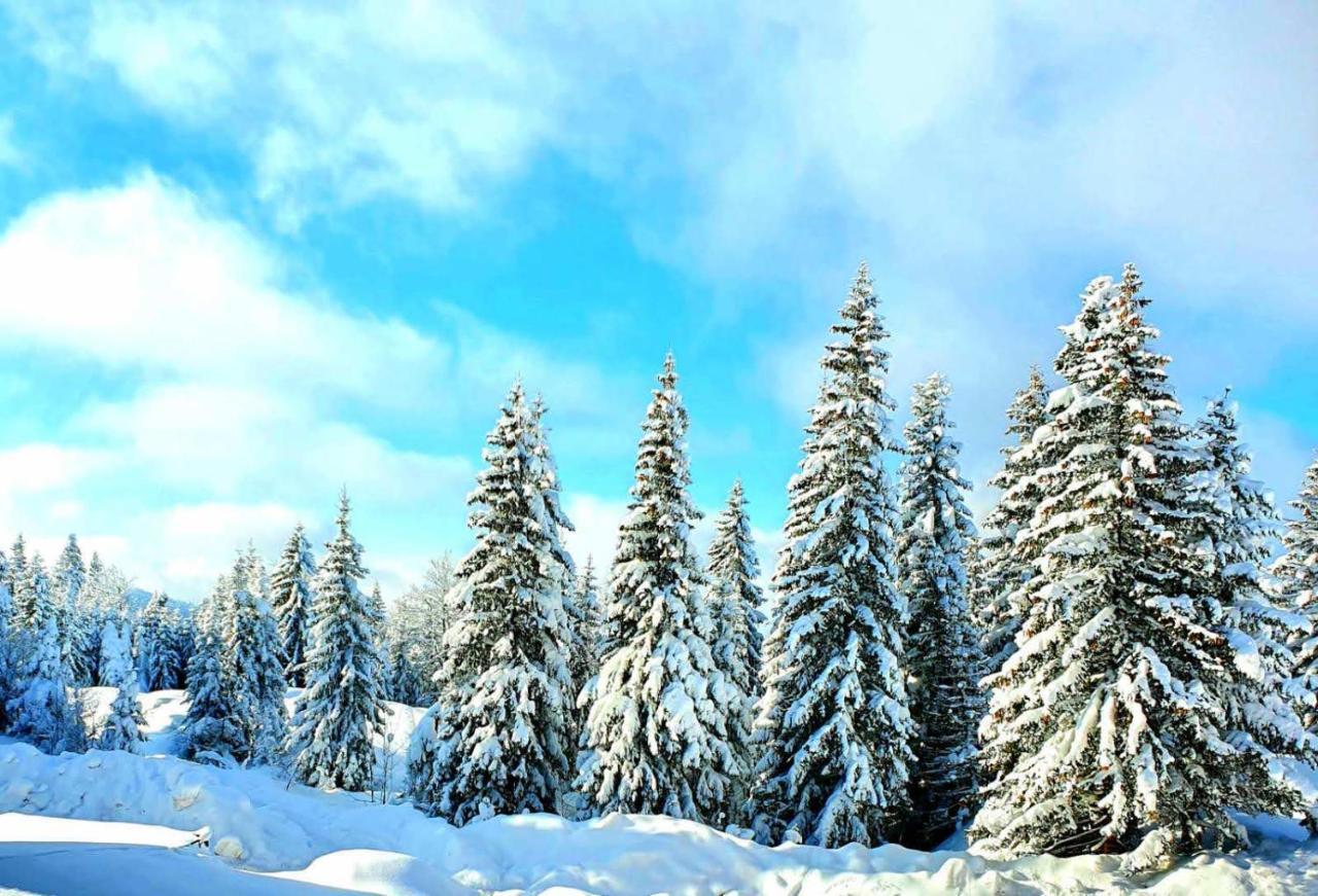 Jahorina 7Lux Apartman Kültér fotó